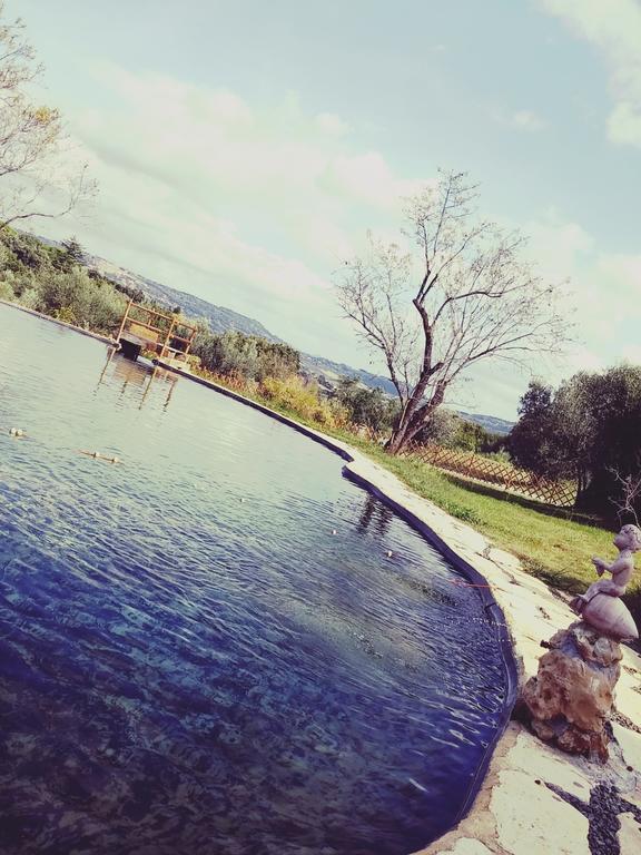 Agriturismo Il Poderino Bibbona Exterior photo