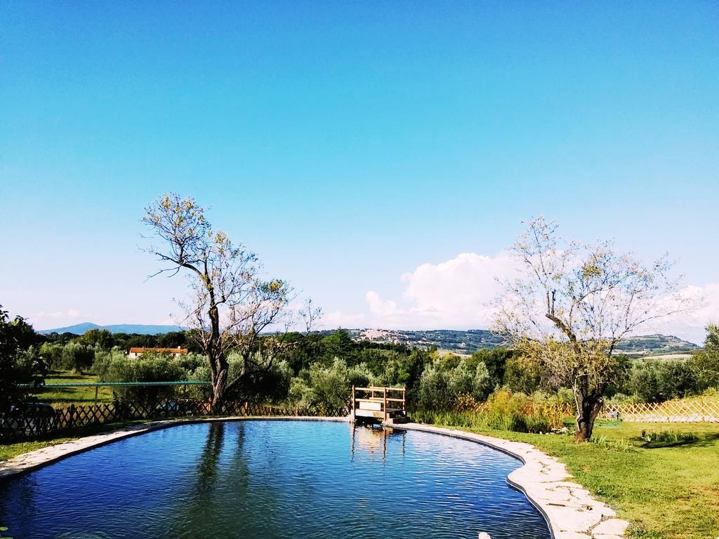 Agriturismo Il Poderino Bibbona Exterior photo