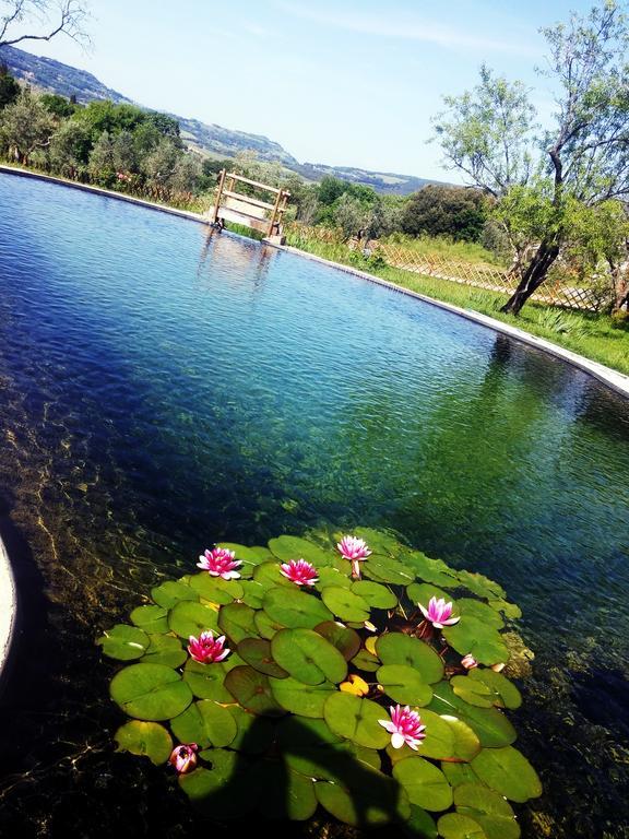 Agriturismo Il Poderino Bibbona Exterior photo