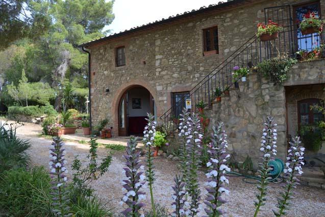 Agriturismo Il Poderino Bibbona Exterior photo