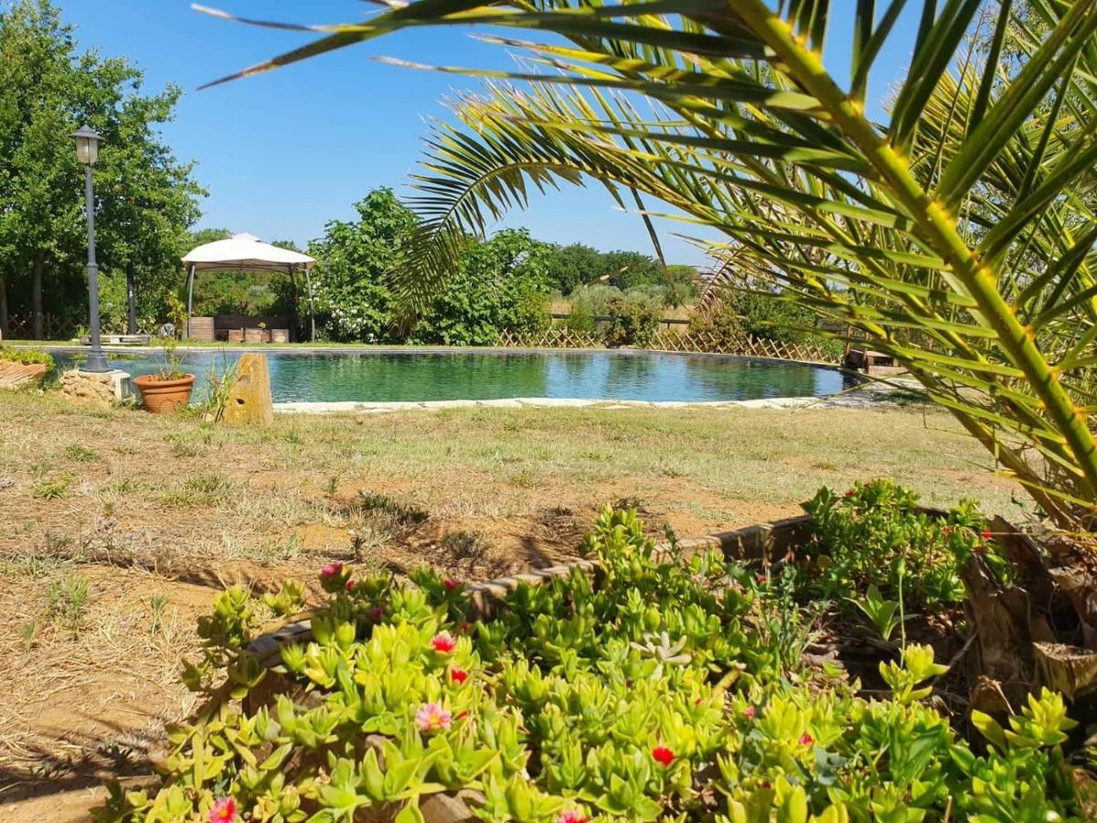 Agriturismo Il Poderino Bibbona Exterior photo